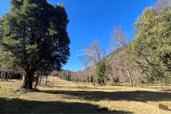 "parcela con orilla de rio en curarrehue