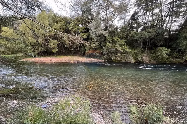 Se vende orilla de rio liucura.