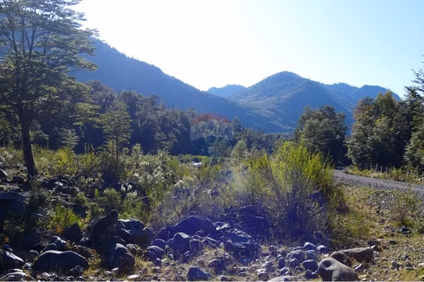 Venta de parcelas desde 5000 mts2 melipeuco