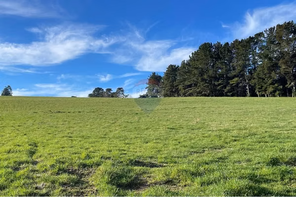 Terreno en panguipulli