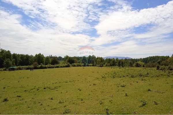 Venta parcelas 5000 mts2 villarrica