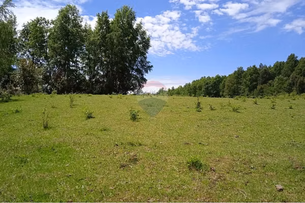 Venta parcelas valleverde en villarrica