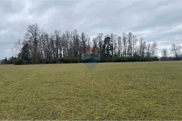 Venta de parcelas sector relún, villarrica