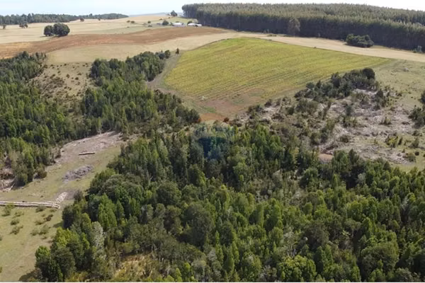 Venta parcelas 5000 mts2 los muermos