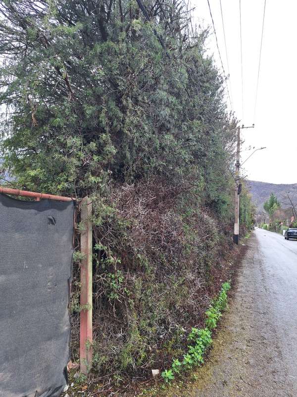 Espectacular parcela agroresidencial