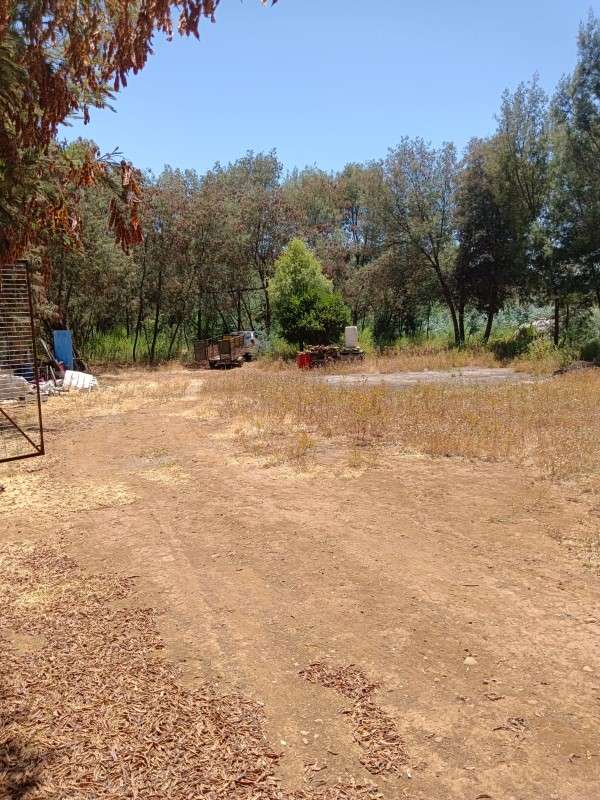 TERRENO CON ESTERO, FRUTALES Y BODEGA EN CHILLÁN S