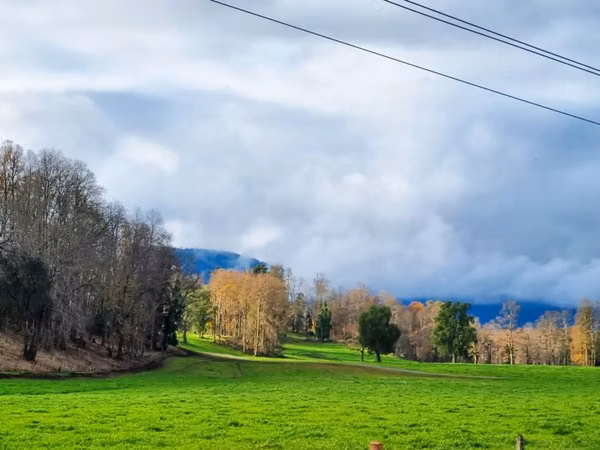 Casa en Venta en Parcela a 20 Minutos de Lago Ranco