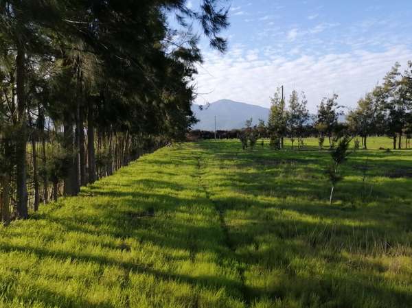 VENDO PARCELA 7.500 M2 SECTOR QUEBRADILLA - LA LIGUA