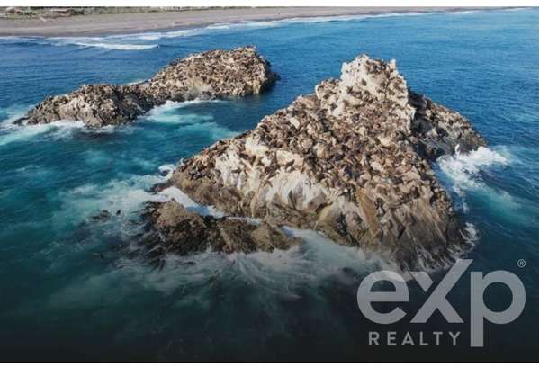 7 parcelas de 5.000 m2 frente al mar cerca de Pullehue