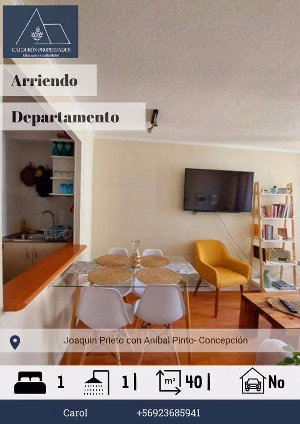 Arriendo Departamento 2D/1B Joaquín Pietro con Anibal Pinto – Concepción