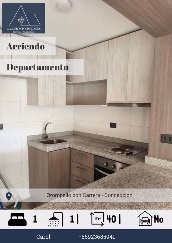 Arriendo Departamento 1D 1B - Orompello con Carrera, Concepción