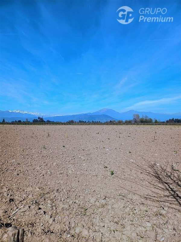 Parcela en venta en Chimbarongo