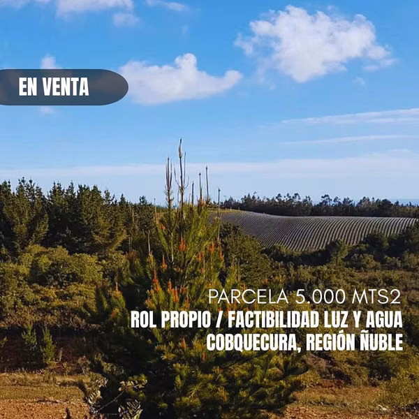 VENTA PARCELA COBQUECURA 5000 MTS2