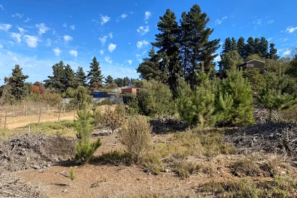 Terreno 1.500m² alta plusvalía en reñaca los pinos