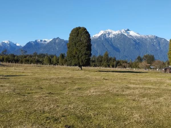 Parcela 10.000 m2 frente al lago Chapo