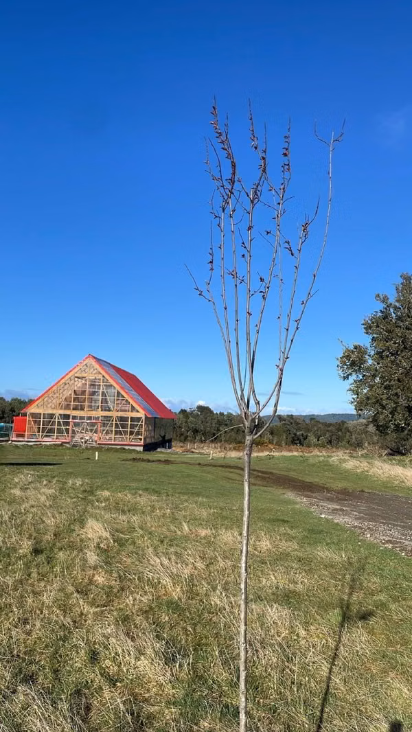 Se vende hermosa casa en Chiloé