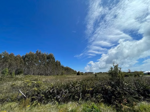 Se venden parcelas a orilla de ruta 5, Ancud