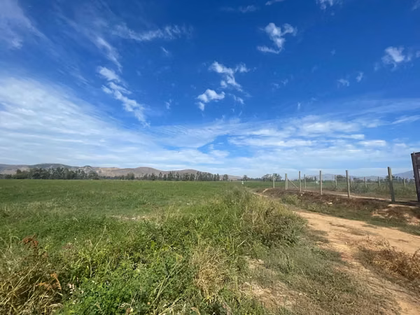 Campo con derechos de agua y tranque