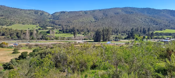 oportunidad rebajado terreno en LAGUNILLAS
