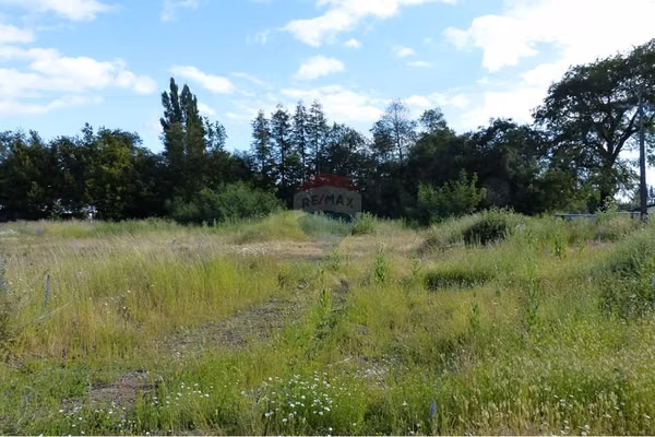 Se vende terreno 5.000 m2, ruta 5 sur, victoria