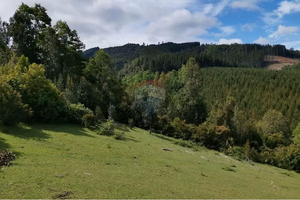 Tu refugio natural cerca del lago ranco
