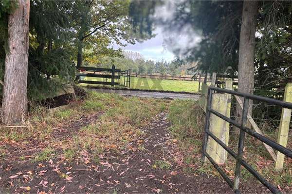 Excelente terreno de 5000 metros en frutillar