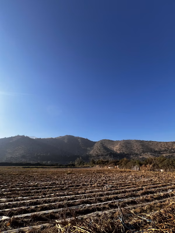 Venta Terreno La Florida | 8,88 Hectáreas para Desarrollo (Sector Las Tinajas)