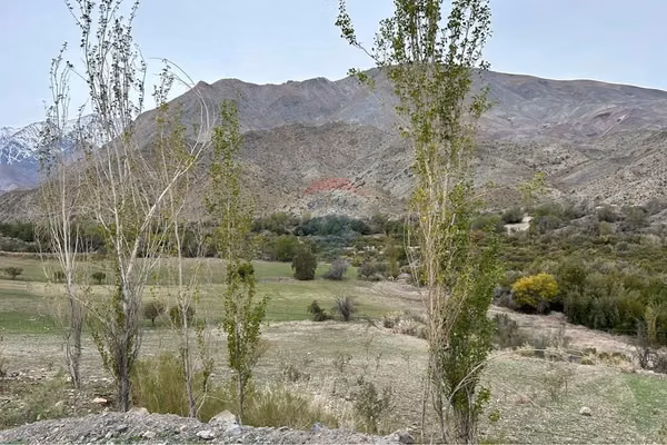 Vende 918,8 has hcda morrillos, rio hurtado, iv rg