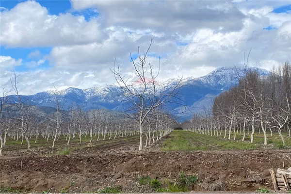 Parcelas de 5000 m2 en paine
