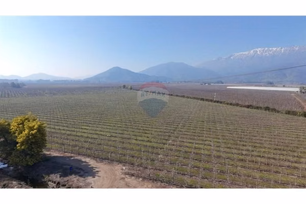 Venta de campo agrícola (cerezos).