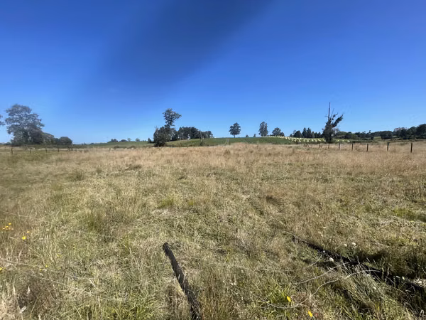Se vende parcela de 5.000 m2 Fundo los troncos, sector Llico