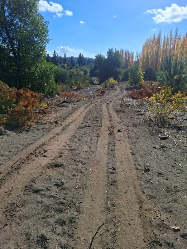 Parcela Loteo Las Perlas, con 12.000 metros, Los Caulles, Cabrero