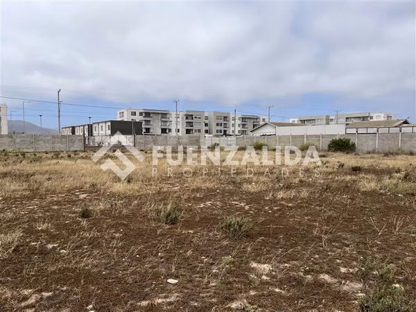 Industrial en arriendo en La Serena