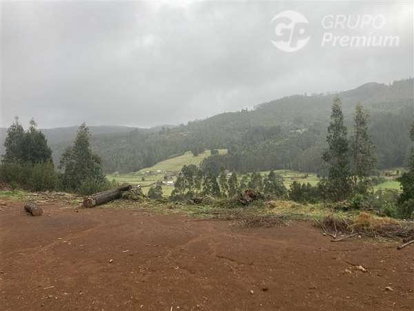 Parcela en venta en Toltén