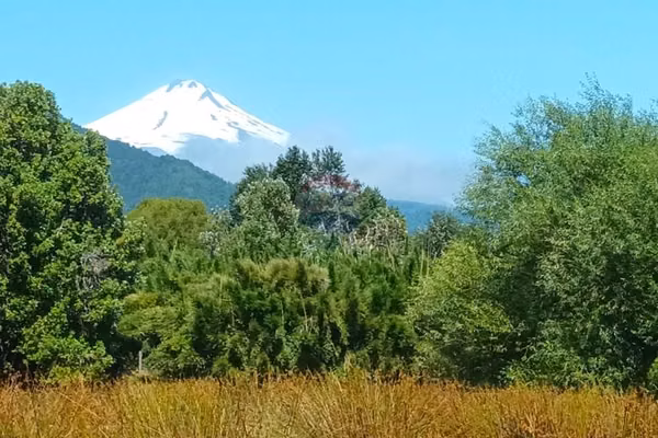 Venta parcela de campo catripulli, curarrehue