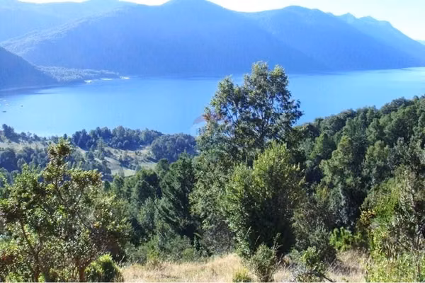 Venta parcela pucón camino caburgua