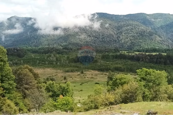 Campo en venta en curarrehue, la araucanía