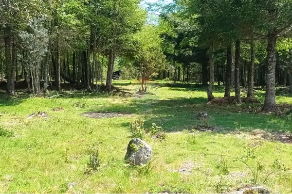 Parcela en venta en pucón