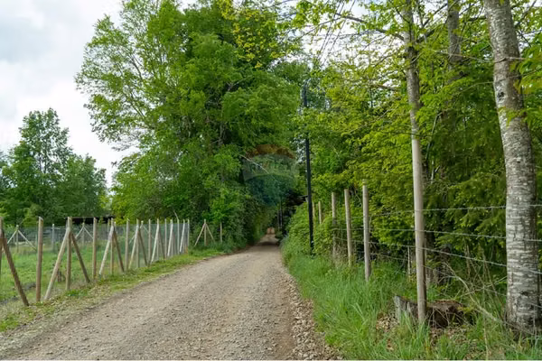 Venta de parcela camino a loncoche