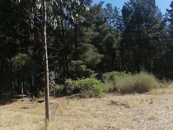 Se vende parcela Valparaíso Laguna Verde