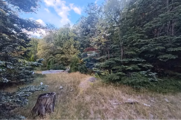 Parcela en venta - bosque palguín - pucón
