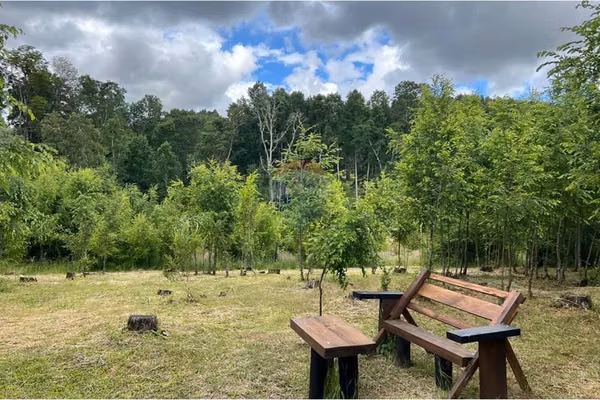 Venta de casa en los laureles sector cunco