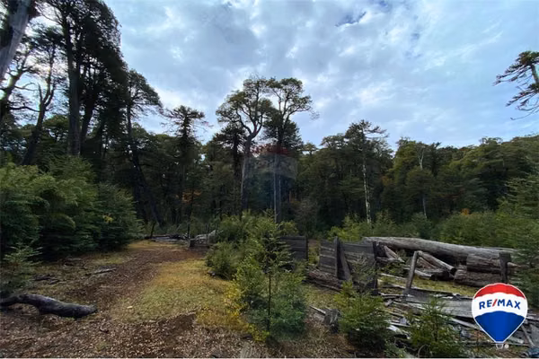 Se vende campo para inversión - huife pucon chile