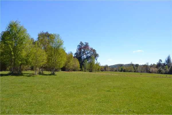 Parcelas en venta villarrica