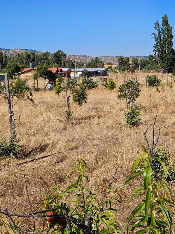 PARCELA CON AGUA Y LUZ A 130 KMS DE SANTIAGO