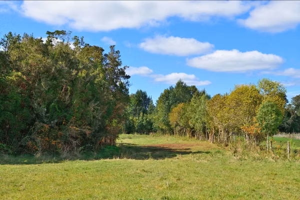 Vende parcelas en Proyecto Praderas del Sur, Los Muermos, 5 mil mt2 con rol.