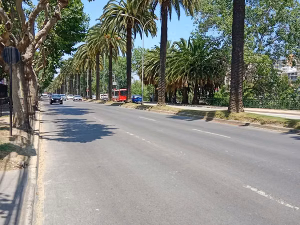 OFICINA EN  VIÑA DEL MAR, 1 NORTE CON 2 PONIENTE, 1 PRIVADO, ESTACIONAMIENTO.