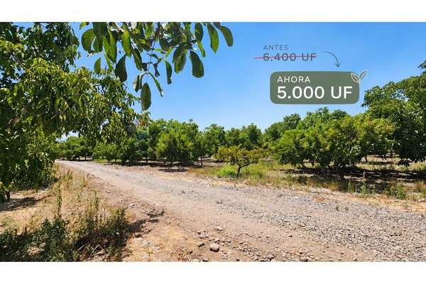 Rebajado! venta con producción agrícola