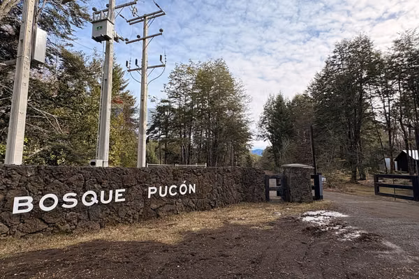 Venta de parcela de 5.027 m² en bosque pucón