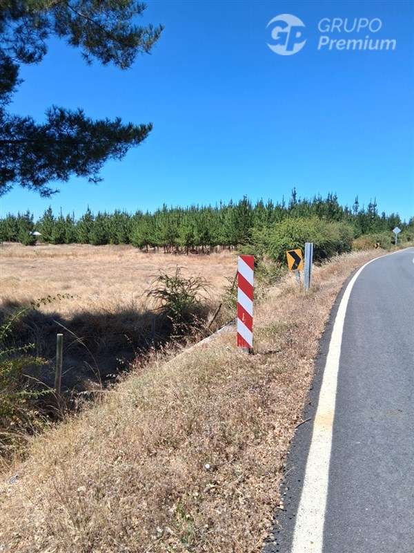 Oportunidad Habitacional, inversión o Agricola en Cauquenes